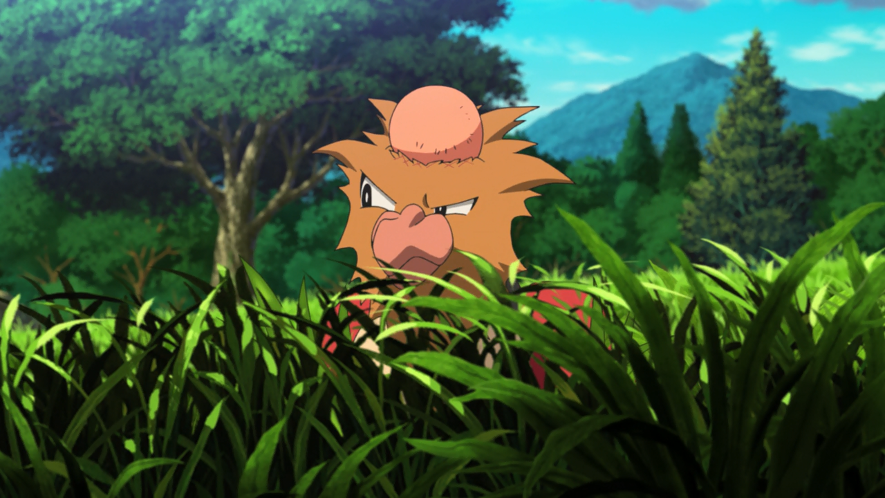 Pokémon: ¡Yo te elijo! (Ruquisho)